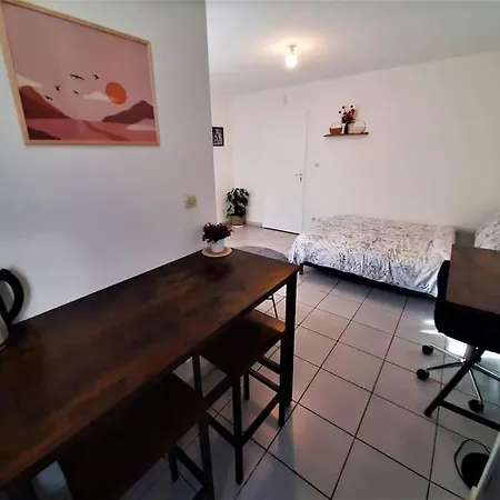 Διαμέρισμα Et Moderne Grand Confort Τουλούζη